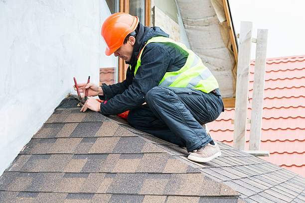Best Metal Roofing Contractor  in Niwot, CO